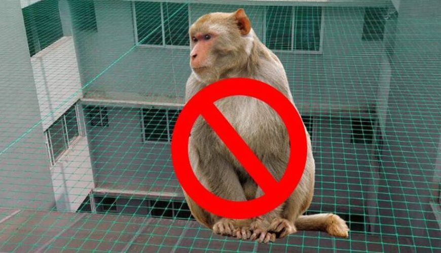 Monkey Safety Nets in Hyderabad