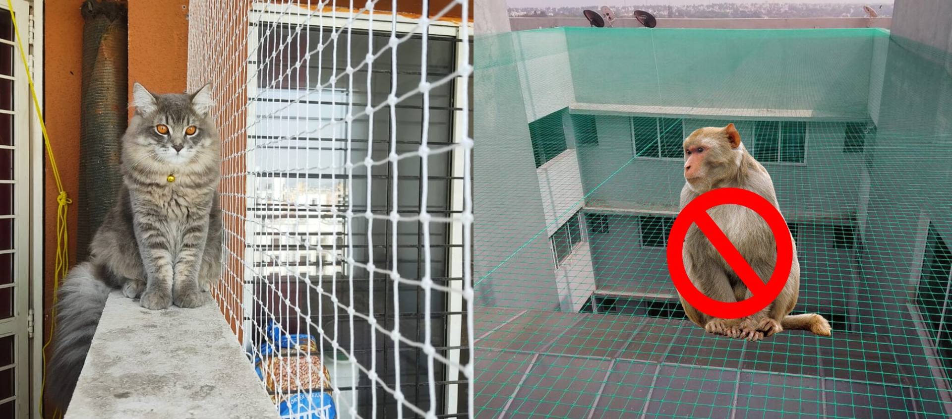 Roof Safety Nets Installation to Protect from Monkeys in Hyderabad