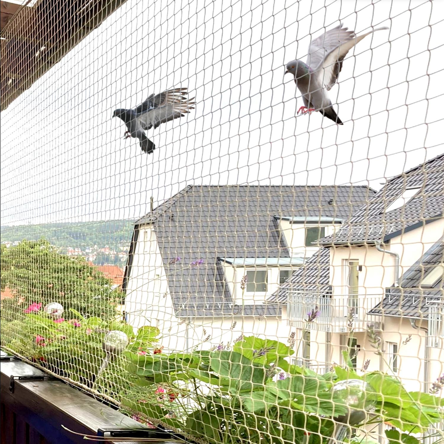 Pigeon Safety Nets in Hyderabad